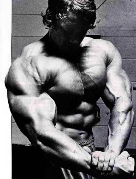/user/arnold07.jpg