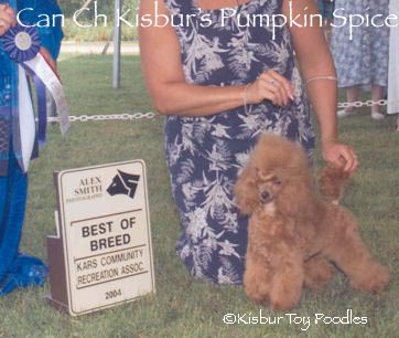Pumpkin Kars Show