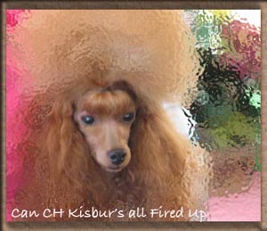 Ch Fire art
