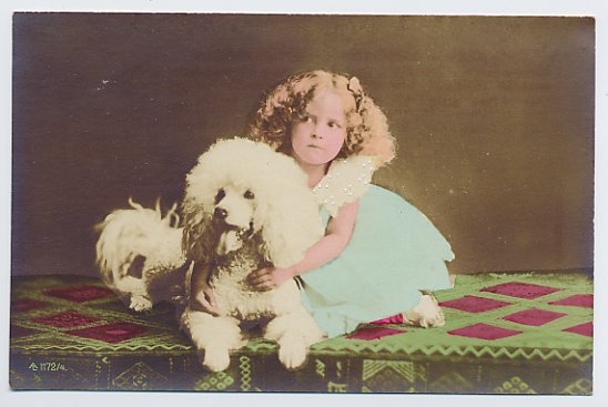 poodlehistoryproject