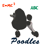 smart poodle
