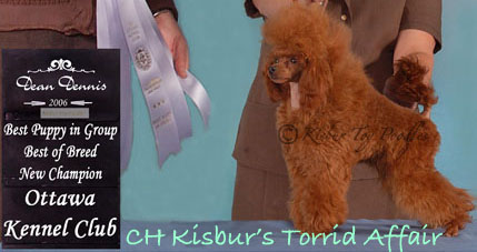 Can Ch Kisbur's Torrid Affair