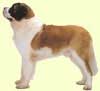 St. Bernard