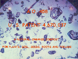 A.O. 458 CRYSTALS