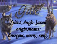 gale