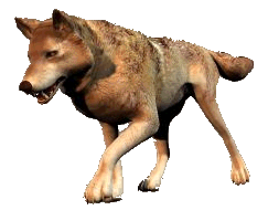 freeware pic of Uilleam