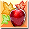 Fall