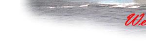 Official Site of the U.S. Navy