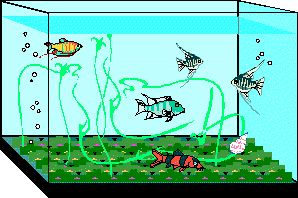 aquarium.gif (9284 bytes)