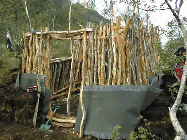 PIC00003.jpg (56836 bytes)