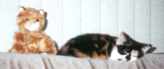 Look how little!