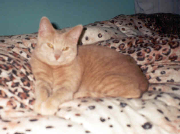 Look at him, all cute!