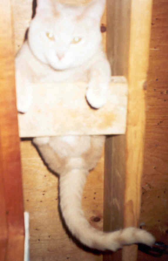 when he 1st came home, he was hard to locate