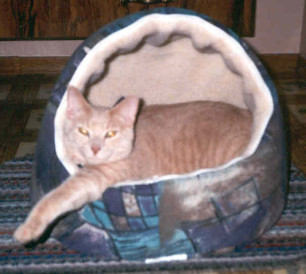 He sleeps alone ;-)