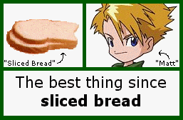 hee heee. i never "got" this expression. how, exactly, is sliced bread SO *GREAT*?