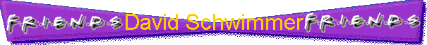 David Schwimmer