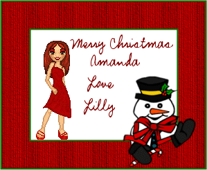 A christmas gift from my friend Lilly. I love it. she did a great job, i love the border and the snow man in the corner!!!