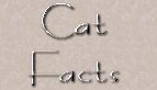 Got a cat question? I might have the purr-fect answer!