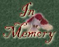 A memorial to my little sister