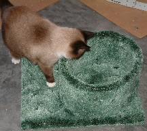 Audrey inspects bed.