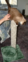 "Good job.&nbsp; Keep up the back rub, too."