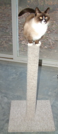 Gray post with Audrey atop.