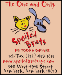 Spoiled Brats, NYC