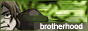 Brotherhood Files!