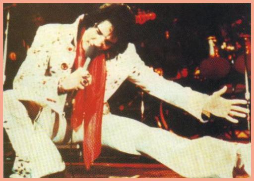 Elvis