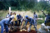 Many hands make work light.  Kingsland project