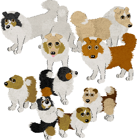 hexed petz 5 hexed petz 5