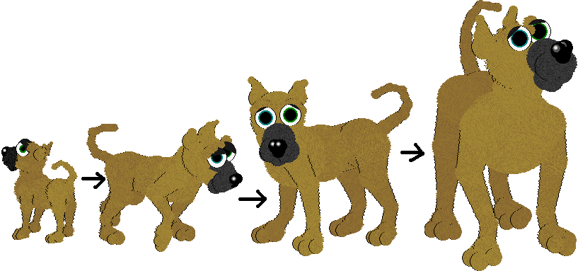 petz 5 breedz petz 5 breedz