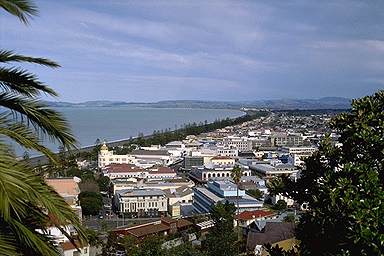 napier.jpg (23875 bytes)