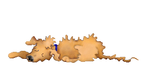 scruffydog.gif (61023 bytes)