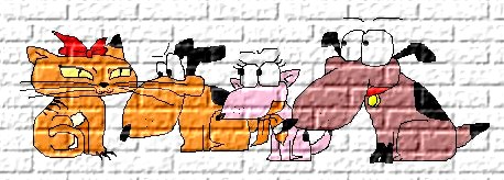 Say hello to the new dogs in town, with a cat that keeps teasing them...