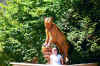 TUT AND BEAR .JPG (169122 bytes)