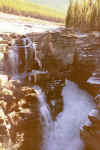 athabasca_falls_.jpg (77564 bytes)