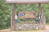 gold river .jpg (93509 bytes)