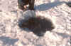 ice hole .jpg (72509 bytes)
