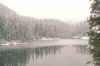light lake snow .jpg (67339 bytes)