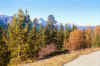 rocky mts .jpg (123621 bytes)