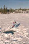 tut fishing .jpg (71867 bytes)