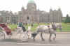 victoria .jpg (65353 bytes)