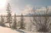 view .jpg (75971 bytes)