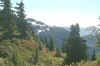 view from mt baker .jpg (74944 bytes)