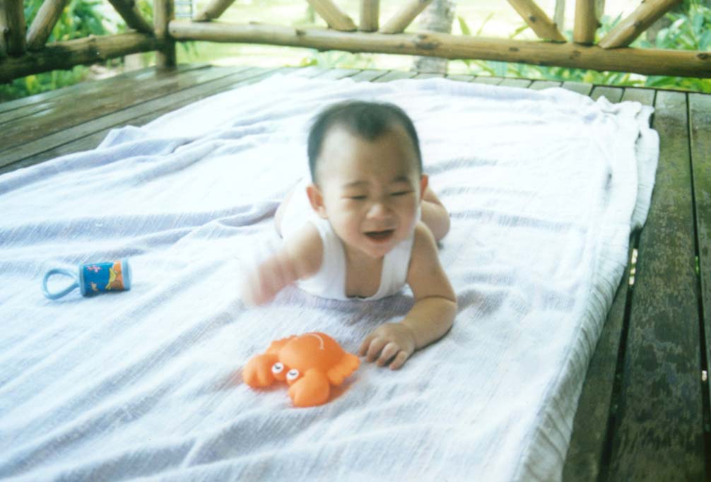 the orange crab
