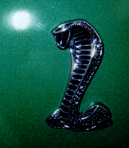Spitting Cobra