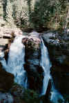Nooksack Falls1.JPG (218025 bytes)