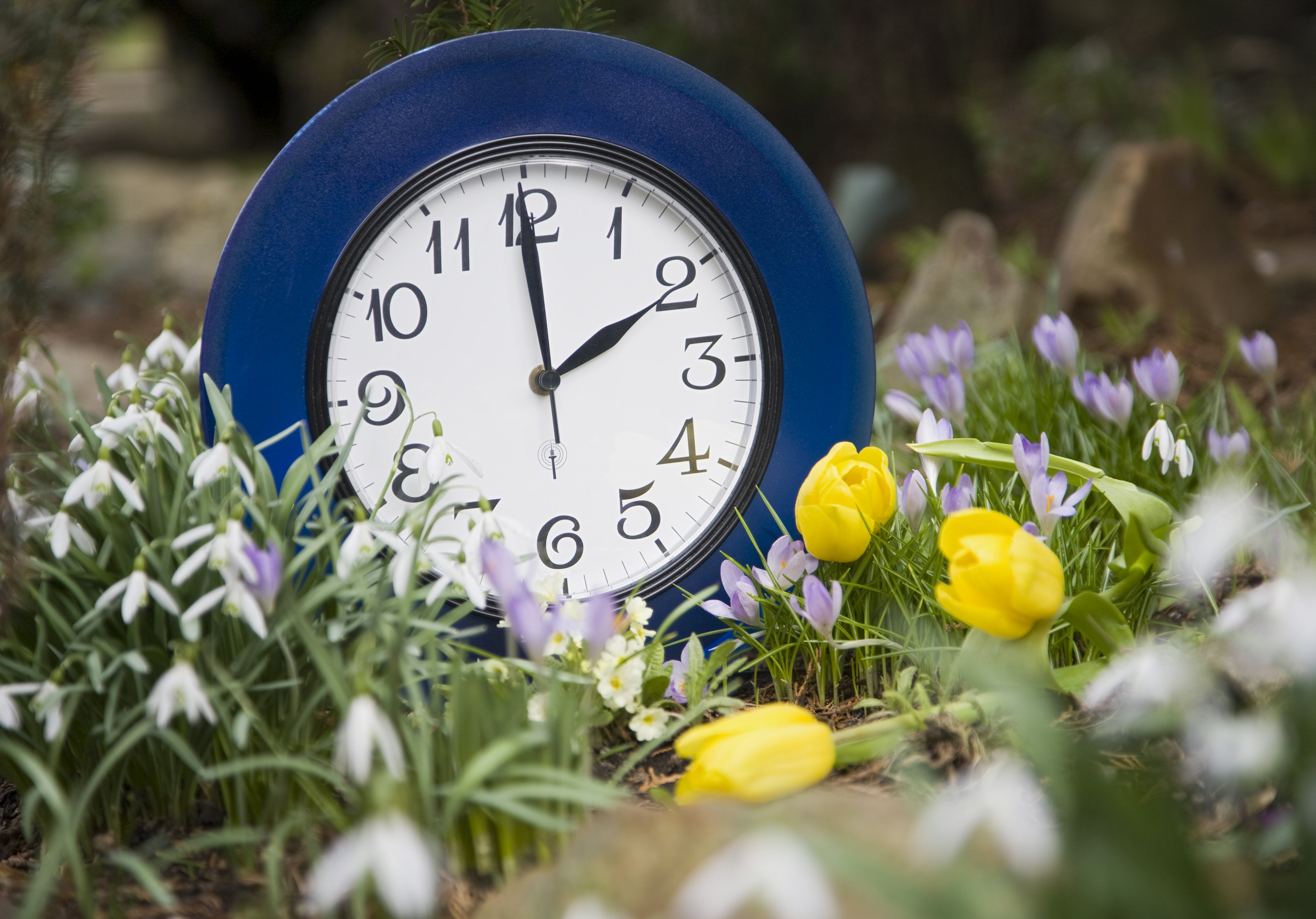 Spring Forward