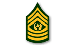 CSM, 3 Chevrons, 3 Rockers, and a star flanked by olive branches.